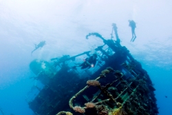 El Gouna Dive Centre - Red Sea